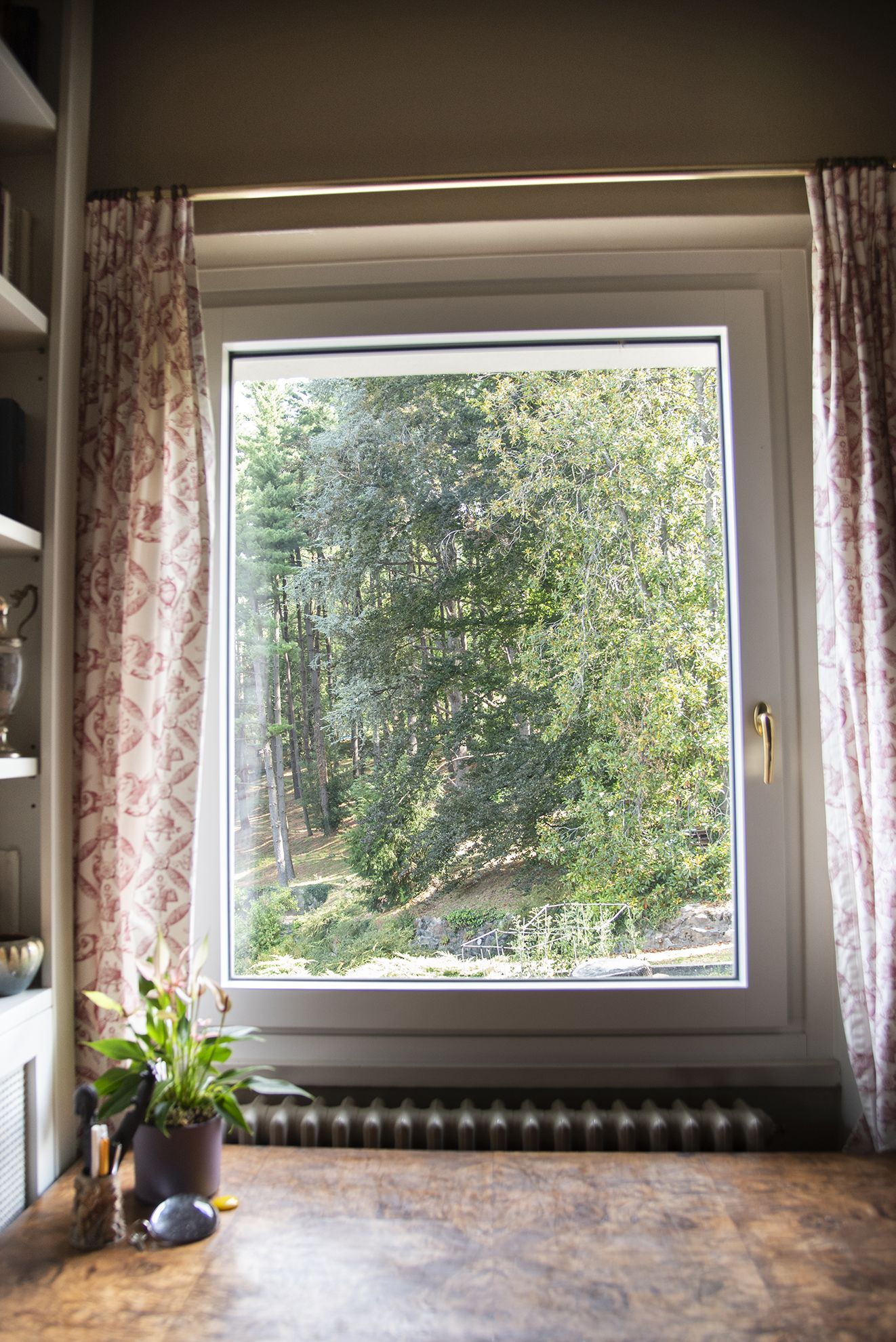 finestra con vista dall'interno sul verde