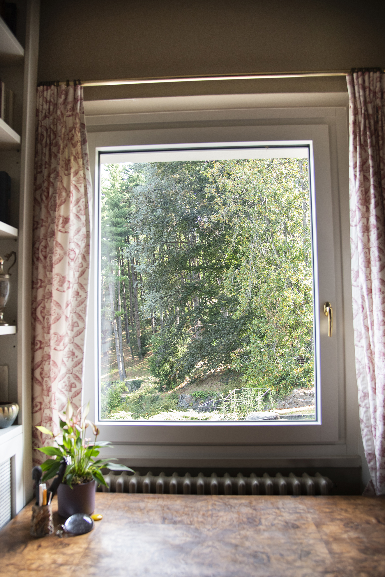 finestra con vista dall'interno sul verde